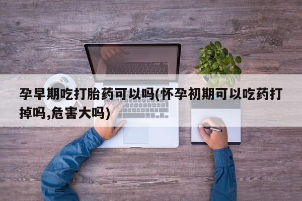 打胎药正品微信联系方式孕早期吃打胎药可以吗(怀孕初期可以吃药打掉吗,危害大吗)